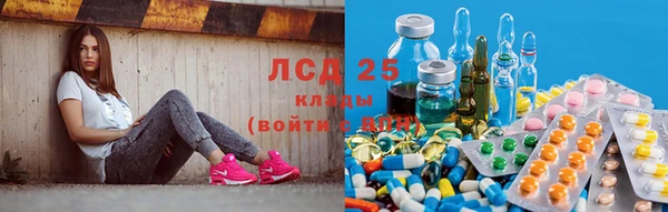гашиш Богданович