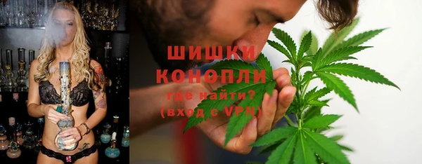гашиш Богданович
