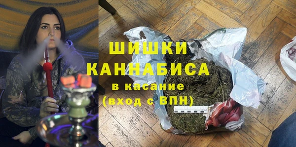 дживик Богородицк