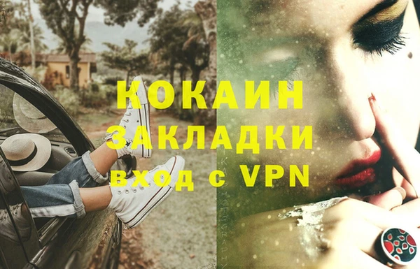 дживик Богородицк
