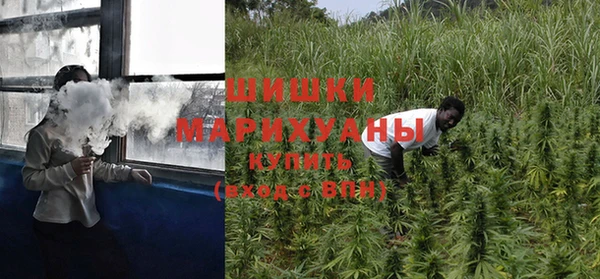 гашиш Богданович