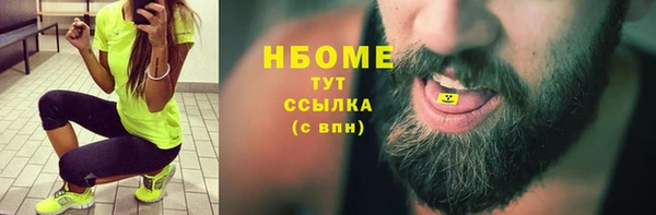 дживик Богородск