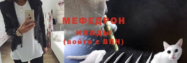 дживик Богородск