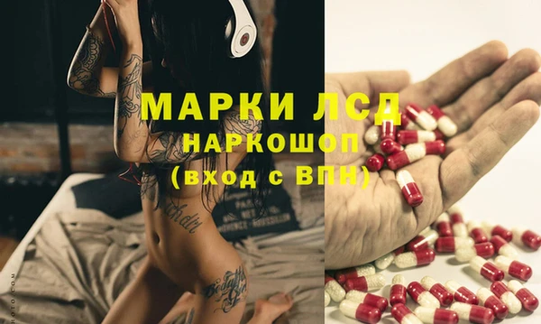 гашиш Богданович