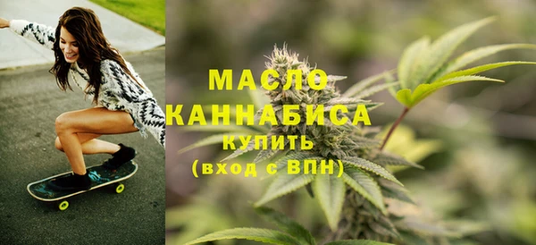 дживик Богородицк